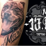 13. INK Studio Tattoo & Piercing y Eliminador de Tatuajes | Opiniones y Reseña
