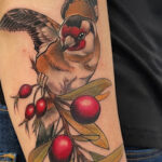 ÓPERA TATTOO Gandia | Opiniones y Reseña