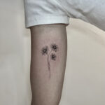 Polilla Tattoo Studio | Opiniones y Reseña