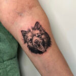 Golden cat tattoo | Opiniones y Reseña