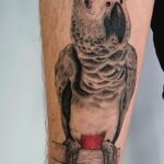 Colors Tattoo Palma – Tatuajes y Piercings – Microblanding | Opiniones y Reseña