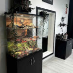 Mael Tattoo Studio | Opiniones y Reseña